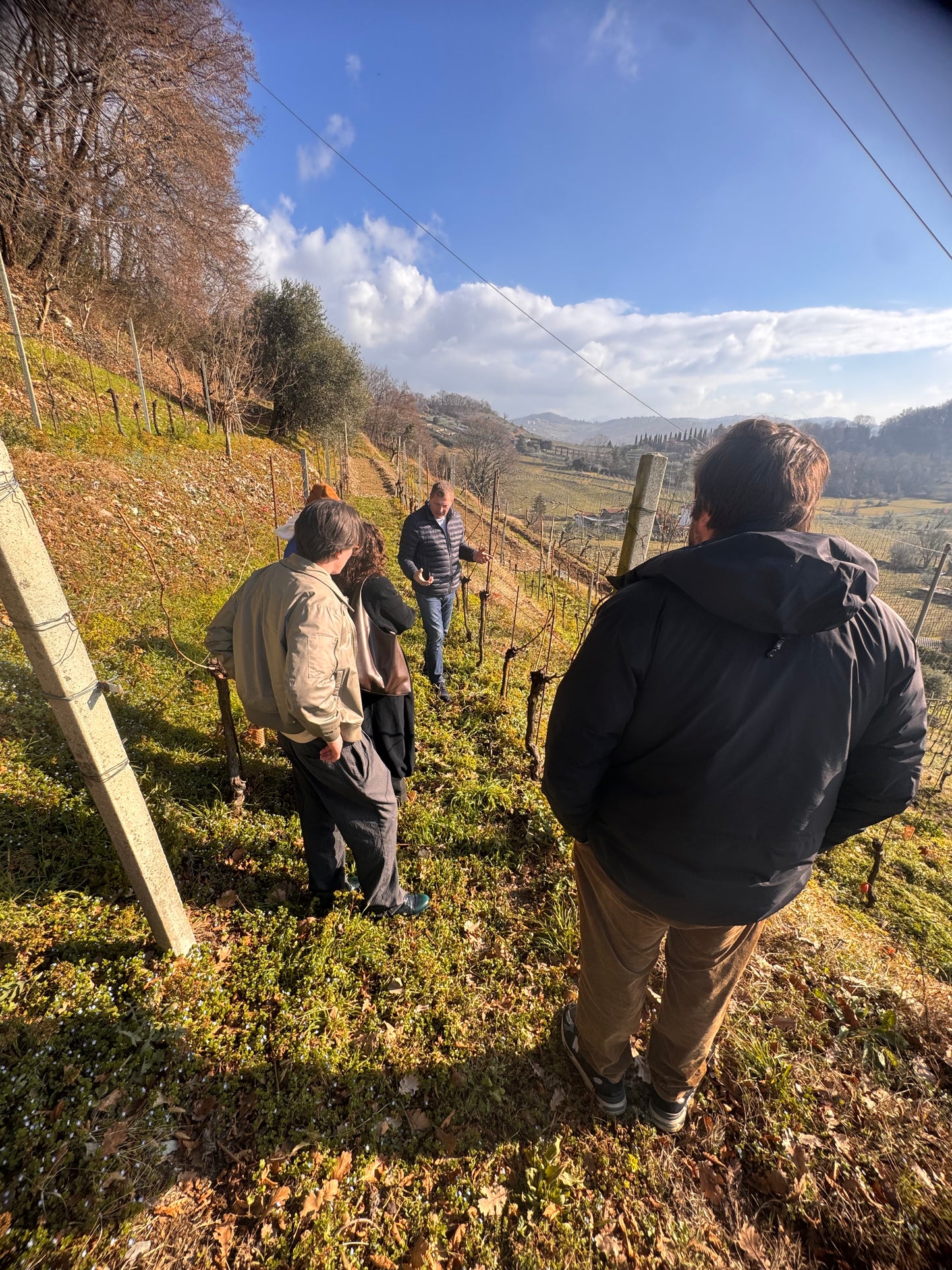 De Toma -winery (extended beyond Veneto for selected guests)