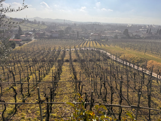De Toma -winery (extended beyond Veneto for selected guests)