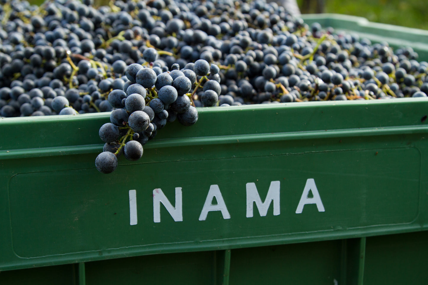 INAMA - winery