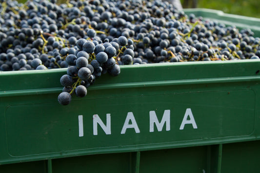 INAMA - winery