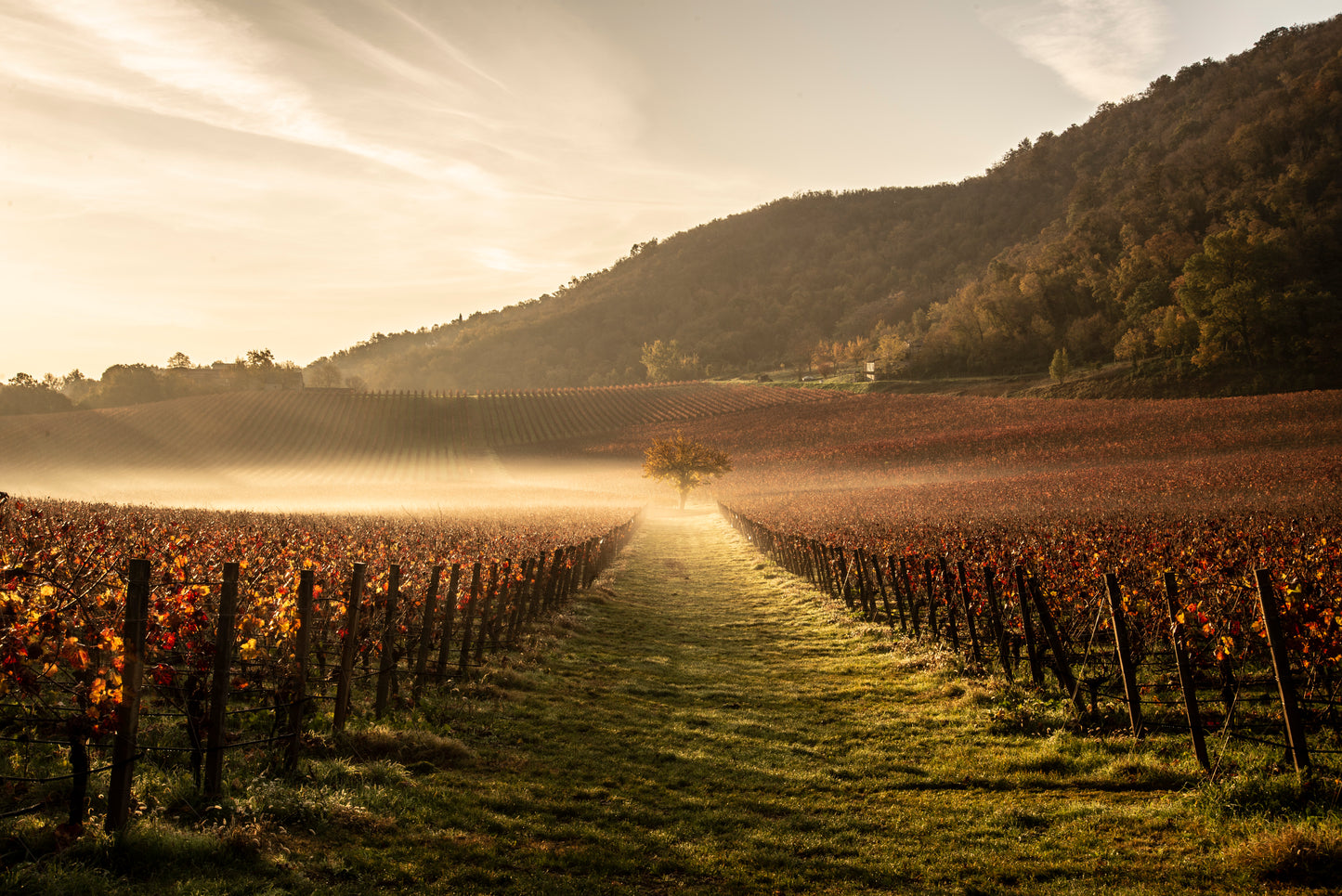 INAMA - winery