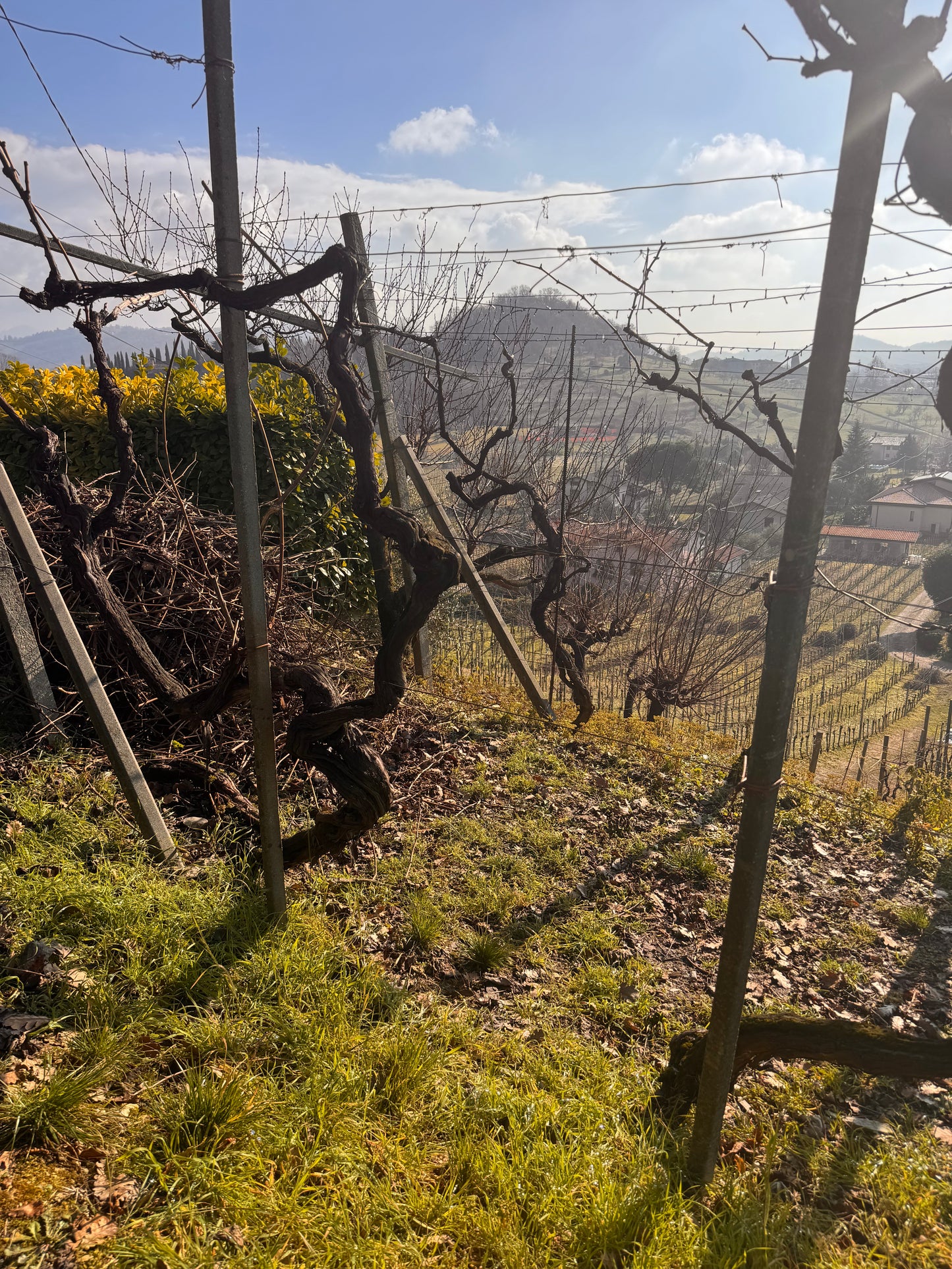 De Toma -winery (extended beyond Veneto for selected guests)