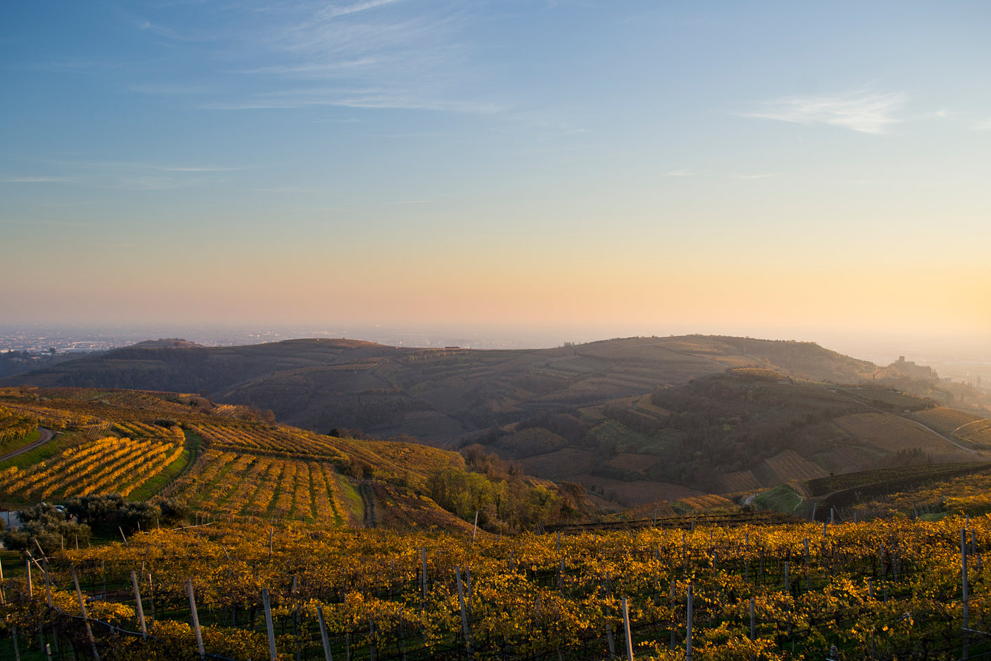 INAMA - winery