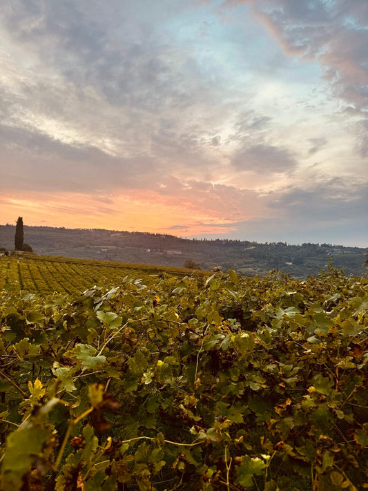 GOLD—CURATED DISCOVERY - Reservation Deposit