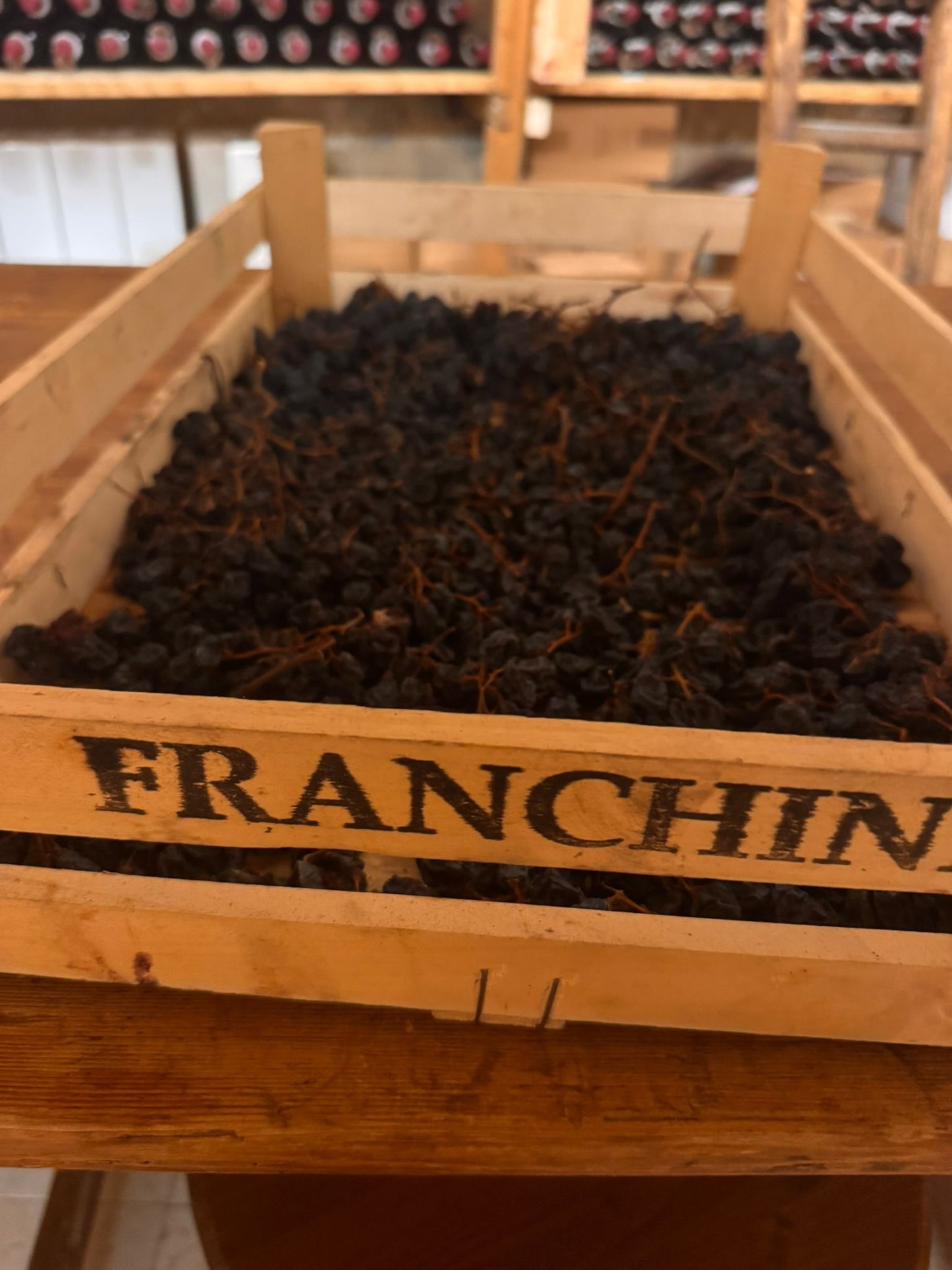 Franchini winery