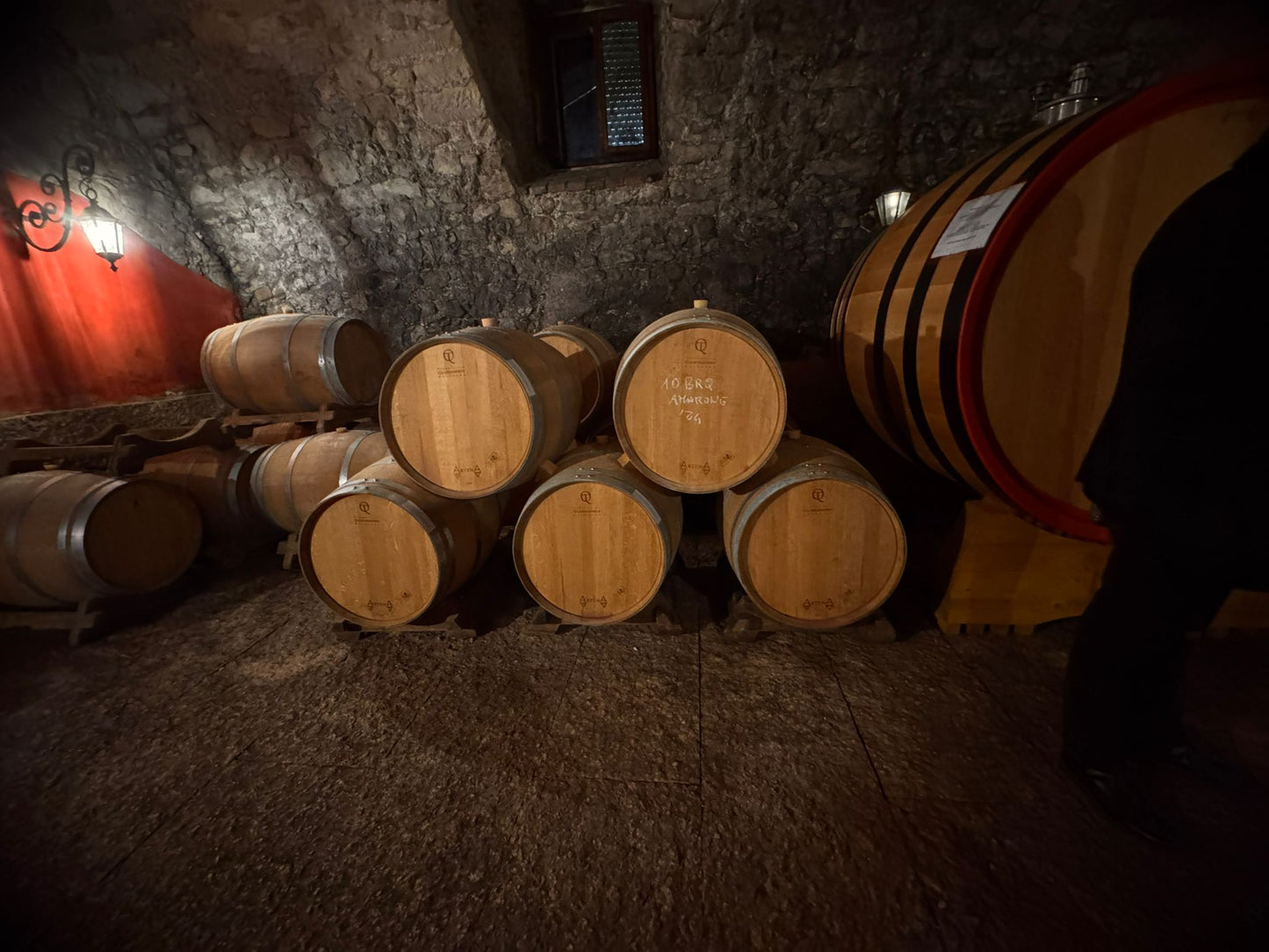Daily Exclusive Wine Experience