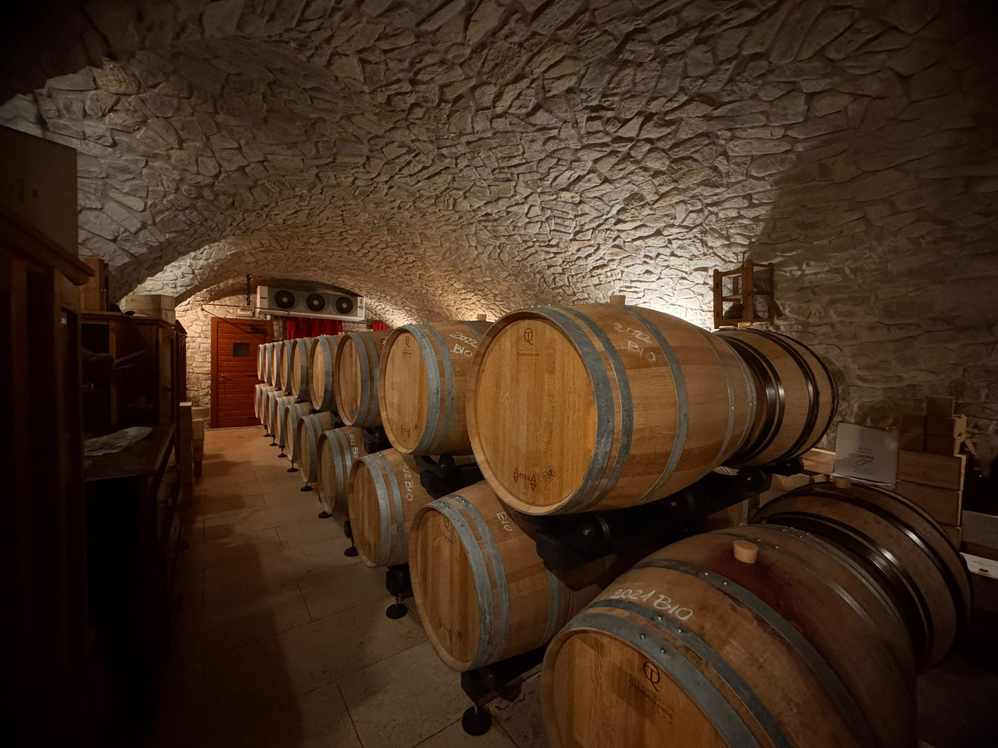 Vigna '800 - winery