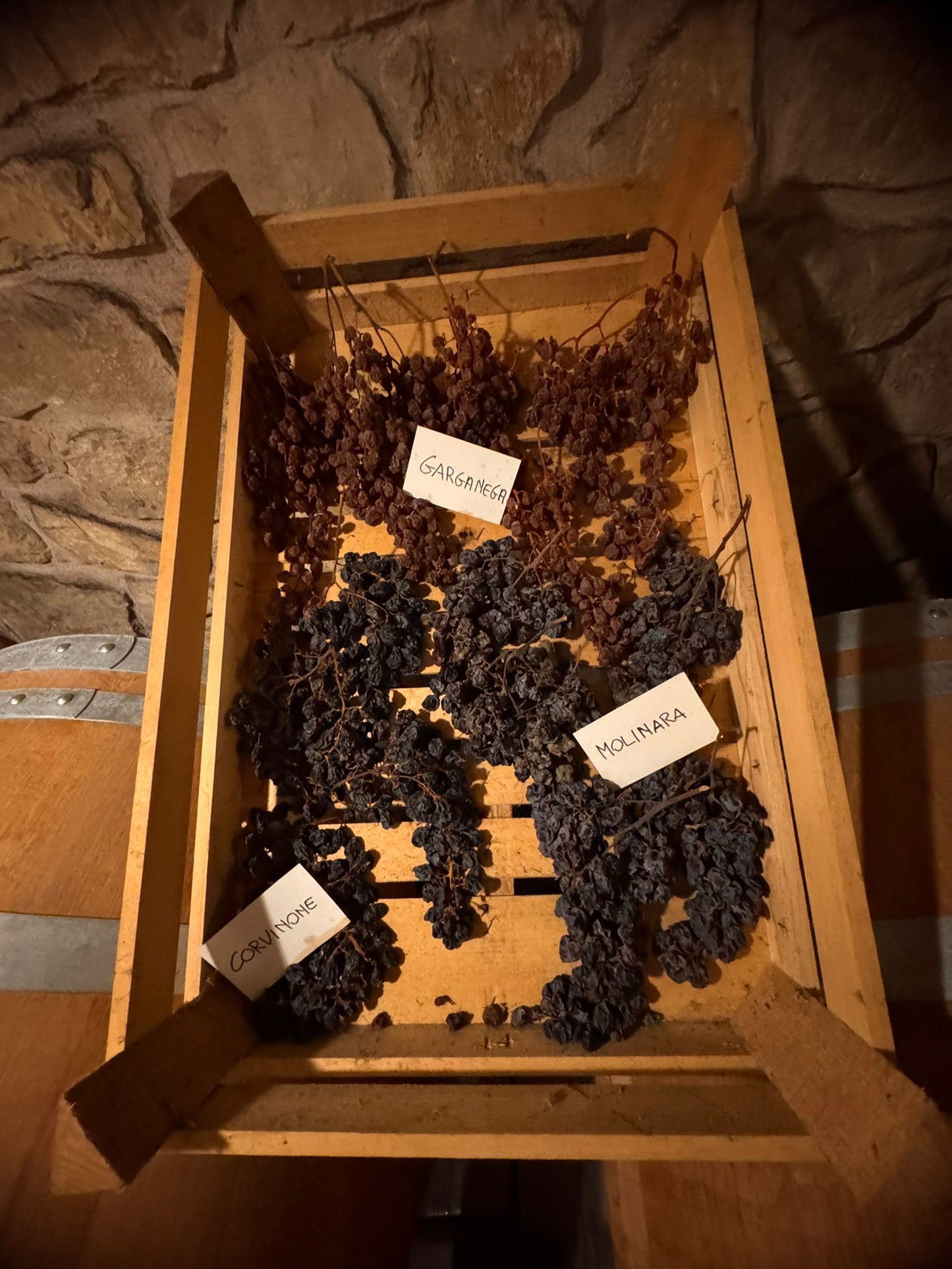 Vigna '800 - winery