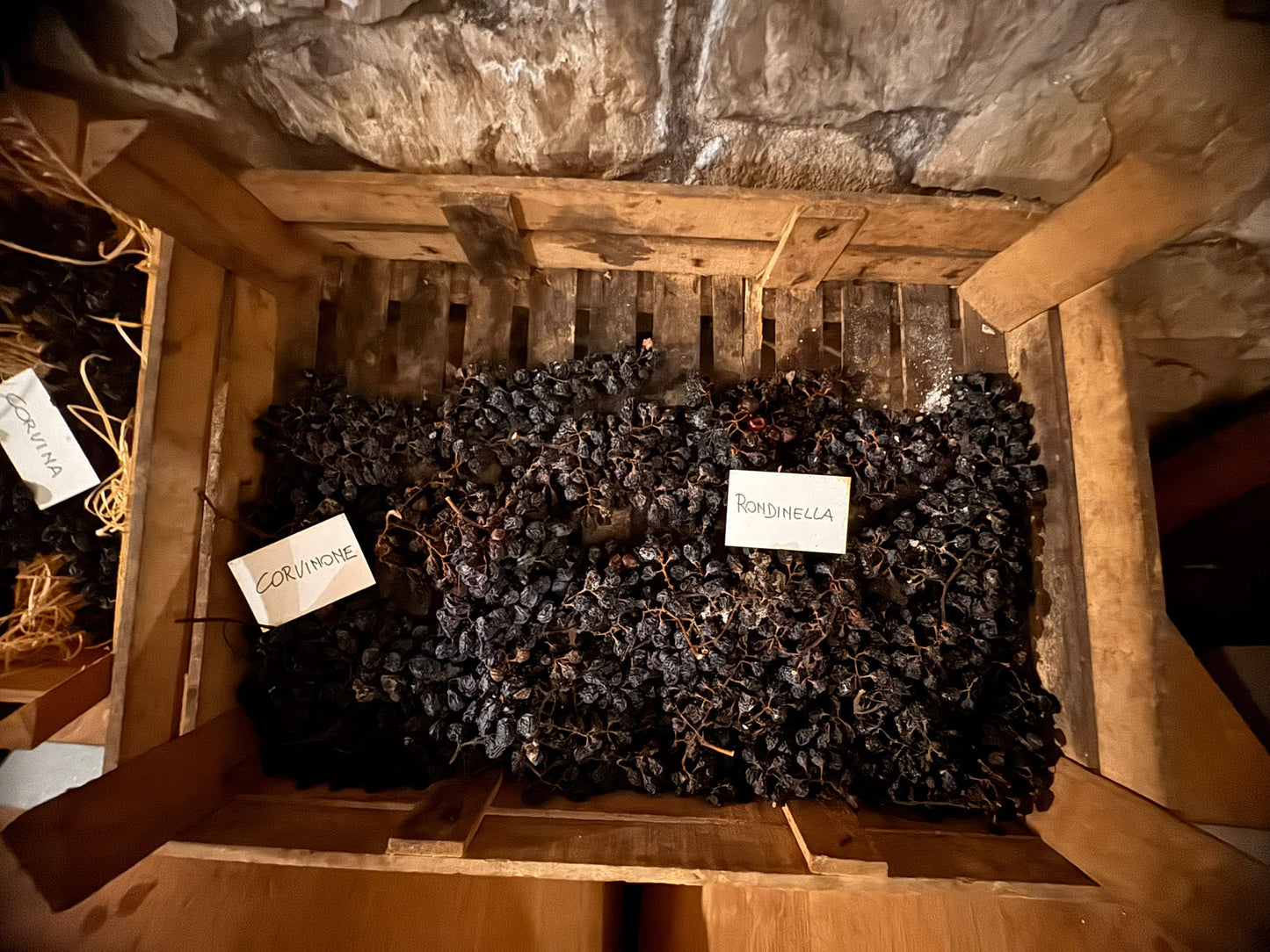 Vigna '800 - winery
