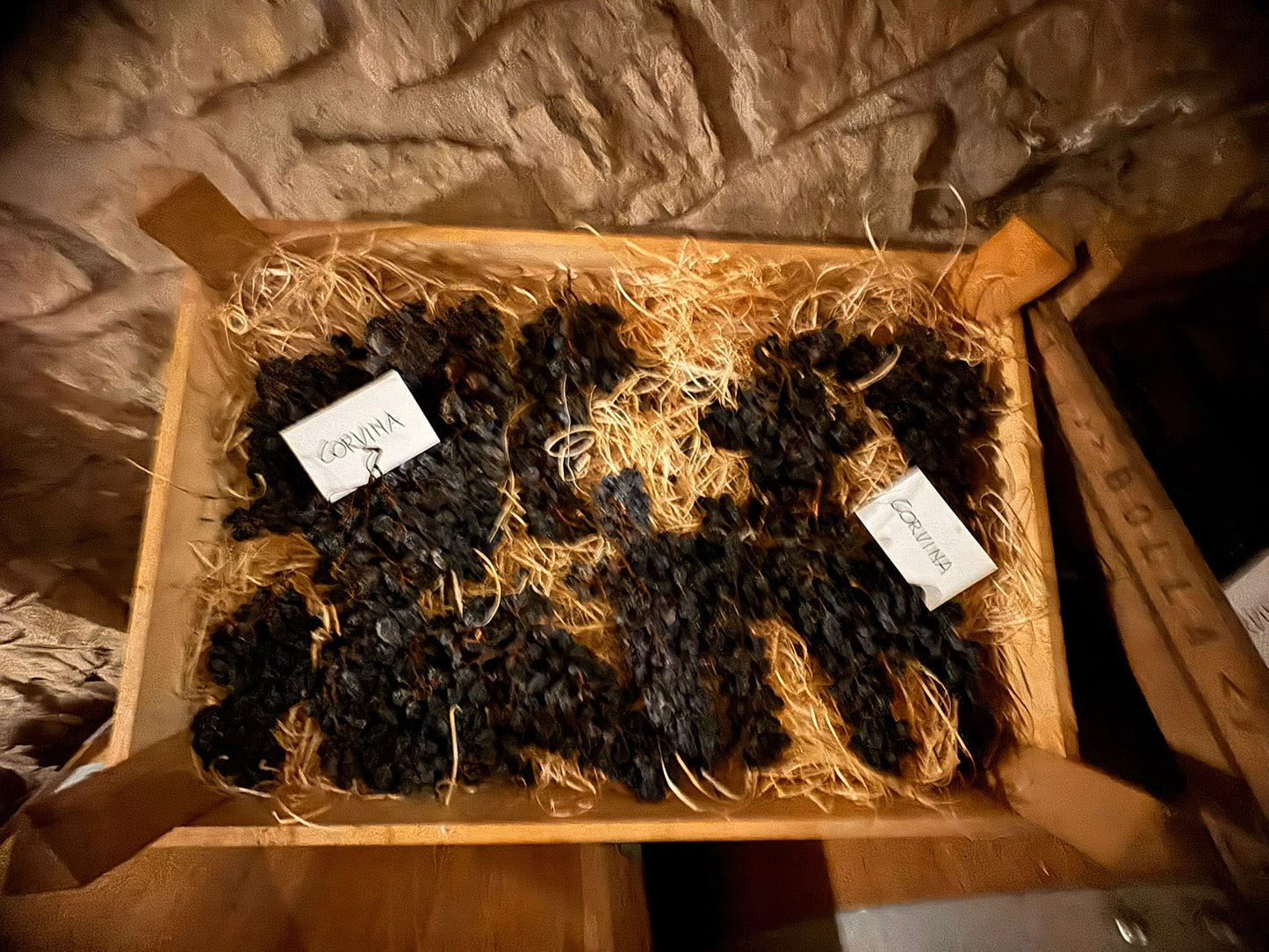 Vigna '800 - winery