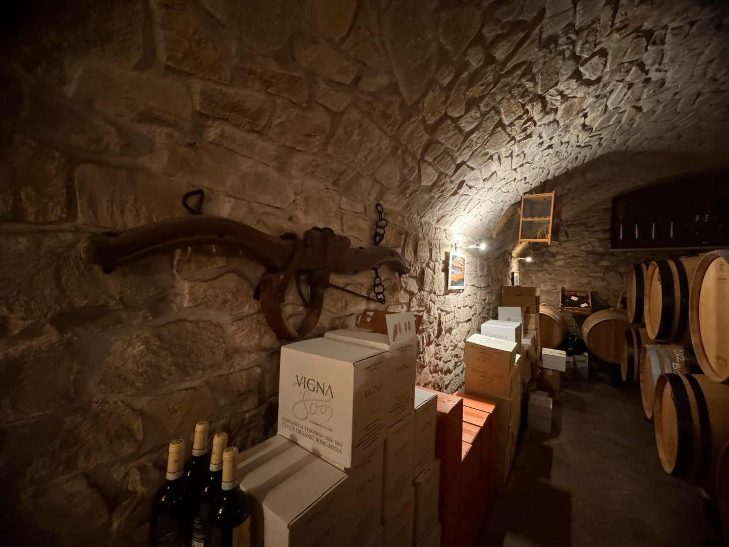Vigna '800 - winery